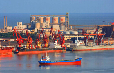 貨代需盡快辦理NVOCC資質(zhì)手續(xù)，否則后果自行承擔(dān)