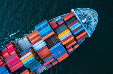 天津國際貨代公司在近年來取得了哪些成績和進步？