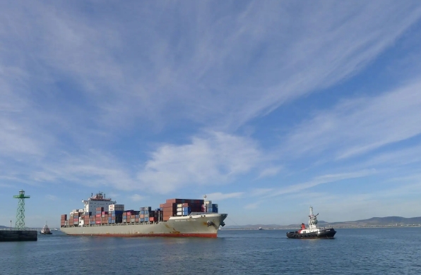 國(guó)內(nèi)海運(yùn)公司在全球化時(shí)代具有重要的地位和作用，面臨著挑戰(zhàn)和機(jī)遇