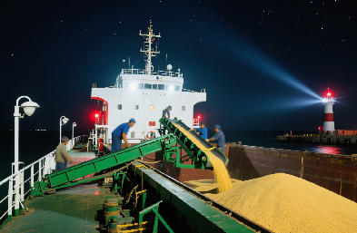 國際貨運(yùn)代理：海運(yùn) / 空運(yùn) / 陸運(yùn)全航線，訂艙到派送一站搞定
